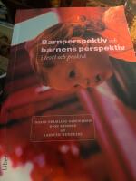 Barnperspektiv och barnens perspektiv i teori och praktik