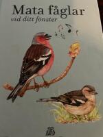 Mata f&aring;glar vid ditt f&ouml;nster