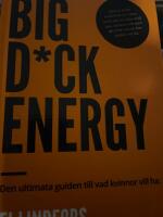 Big dick energy : den ultimata guiden till vad kvinnor vill ha