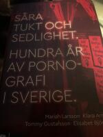 S&aring;ra tukt och sedlighet : hundra &aring;r av pornografi i Sverige