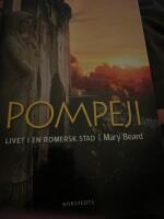 Pompeji : livet i en romersk stad