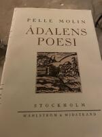 &Aring;dalens poesi