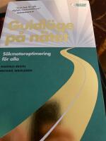 Guldl&auml;ge p&aring; n&auml;tet: S&ouml;kmotoroptimering f&ouml;r alla