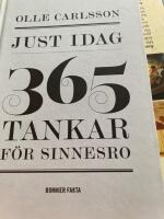 Just idag : 365 tankar f&ouml;r sinnesro
