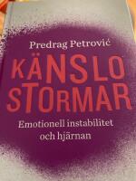 K&auml;nslostormar - emotionell instabilitet och hj&auml;rnan