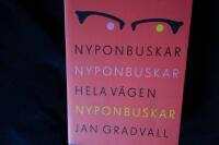 Nyponbuskar, nyponbuskar, hela v&auml;gen nyponbuskar.