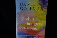 K&auml;nslans intelligens och arbetet.  Emotionell intelligens och social kompetens i arbetslivet.