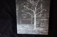 Konsten p&aring; Wan&aring;s.