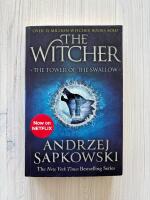 The Tower of the Swallow (The Witcher 4)