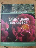 Gammaldags buskrosor