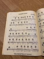 Bruce Springsteen Guitar