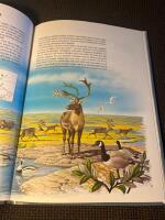 Arktis i n&auml;rbild