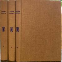 Ystads historia del I-III