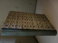 Anneli Bergsmansdotter