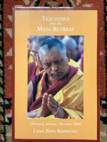 Travhingsten from the Mani Retreat