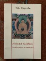 Profound Buddhism - From Hinayanabto Vajrayana