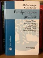Familjeterapins grunder : Ett interaktionistiskt perspektivTredje revid