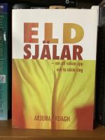 Eldsj&auml;lar : om att vakna upp och ta n&auml;sta steg