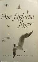 Hur f&aring;glarna flyger