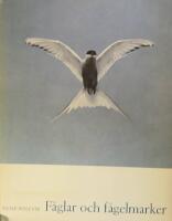F&aring;glar och f&aring;gelmarker