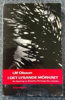 I det lysande m&ouml;rkret : en l&auml;sning av Birgitta Trotzigs De utsatta