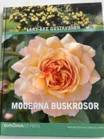 Moderna buskrosor