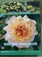 Moderna buskrosor