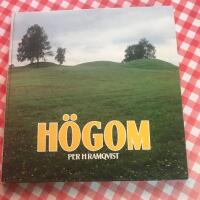 H&ouml;gom