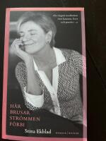 H&auml;r brusar str&ouml;mmen f&ouml;rbi