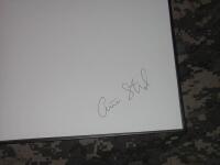 Ljus&aring;r : ett &aring;r av ljus