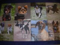 Att ha hund + 7 delar till (Komplett)