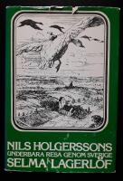 Nils Holgerssons underbara resa genom Sverige
