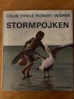 Stormpojken