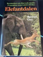 Elefantdalen