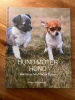 Hund m&ouml;ter hund