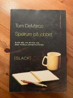 Spelrum på jobbet - Slår hål på myten om den totala effektiviteten