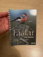 F&aring;glar fr&aring;n f&ouml;nstret : k&auml;nn igen v&aring;ra vanligaste f&aring;glar