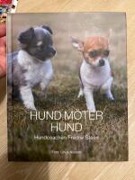 Hund m&ouml;ter hund