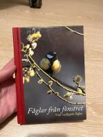 F&aring;glar fr&aring;n f&ouml;nstret - v&aring;ra vanligaste f&aring;glar