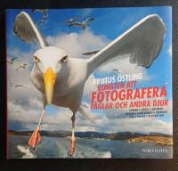 Konsten att fotografera f&aring;glar och andra djur - [tanken, ljuset, naturen, djuren, hantverket, tekniken, tips, tricks, inspiration]