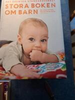 Stora boken om barn