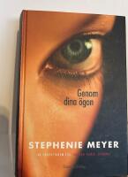 Genom dina &ouml;gon