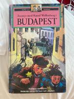 &Auml;ventyr med Raoul Wallenberg i Budapest : [historisk roman f&ouml;r barn och ungdom]