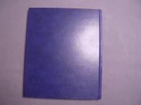 75 &aring;r med bilf&ouml;retaget Brandt : 1929-2004