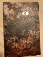 Kosmiskt pussel : f&ouml;rs&ouml;ken att f&ouml;rst&aring; universum