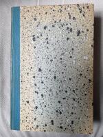 I skuggan av San Michele