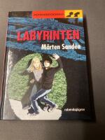 Labyrinten