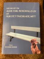 Vad jag vet om Agne Bergwalls liv och hur det p&aring;verkade mitt : roman