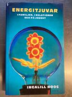 Energitjuvar : i familjen, i relationen och p&aring; jobbet