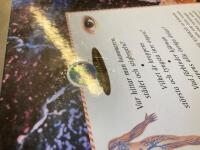 S&aring; fungerar du